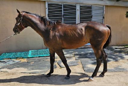 ���κ��� ����