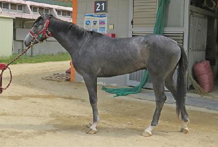 ���̽��¾� ����