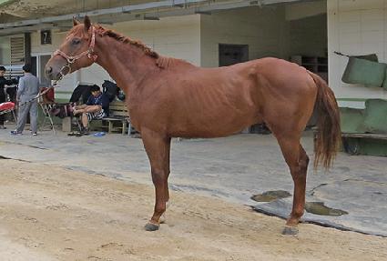 �׷����ö��� ����