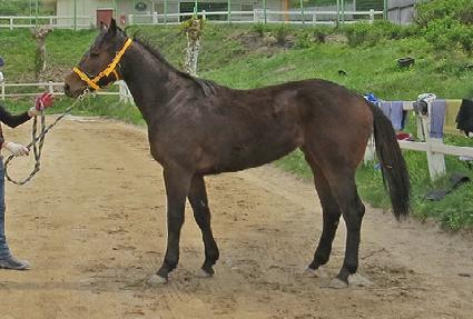 ������� ����