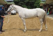 �������� (SEGWANG JILJU) ����