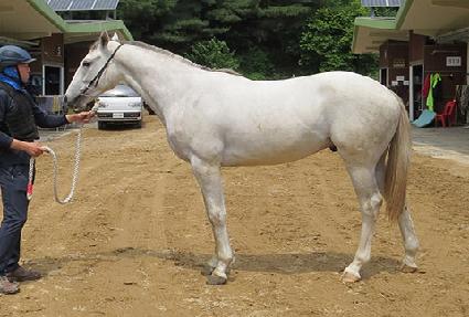 �������� ����