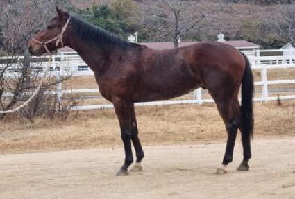 �����ŷ�� ����