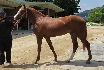 ��Ŭ���� ����