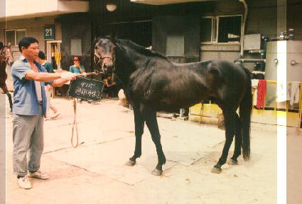 õ�ϴ��屺 ����