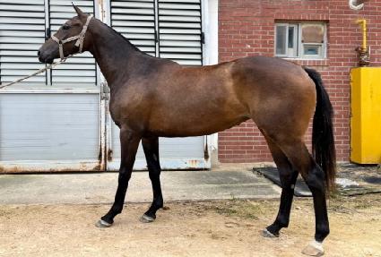 �¸���� ����