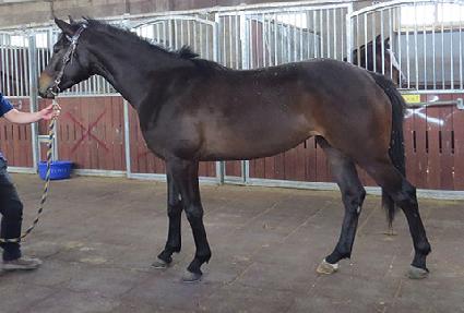 ����Ŀ� ����