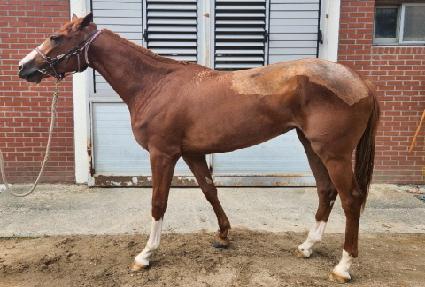 �뼺����ũ ����