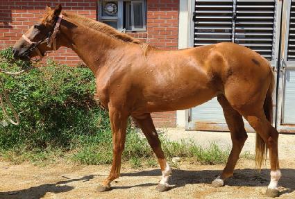 ������Ʈ ����