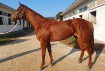 �����Ǿ� (QUEEN SOPHIA) ����