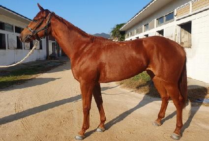 �����Ǿ� ����