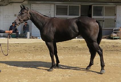 ĭ��Ʈ ����