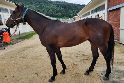 ���� ����