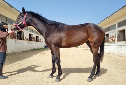 ���õ�� ����