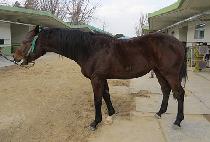 �Ŀ��� (POWER BAEK) ����