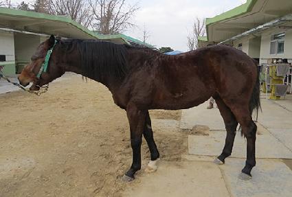 �Ŀ��� ����