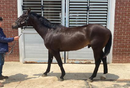 �ֺ��� ����