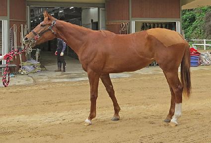 ����ƽ���� ����