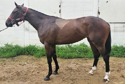 ��½�Ʈ��ũ ����