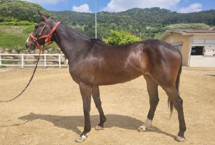 ���̴��� ����