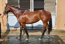 ������ (UNJU TOP) ����