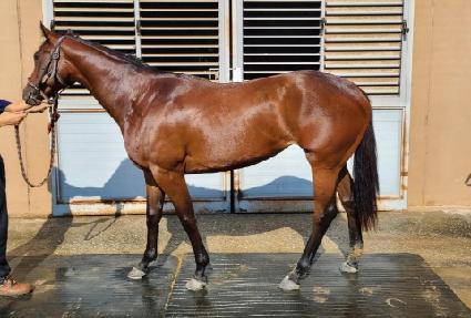 ������ ����