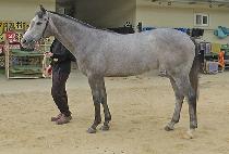 ��ٷζ� (DIVA LAURA) ����