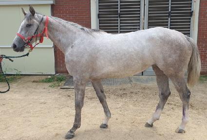 �����ְ� ����