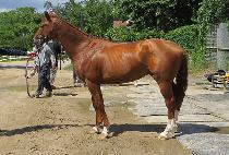 ���Ϸε� (SUNNY ROAD) ����