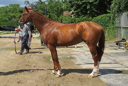 ���Ϸε� ����