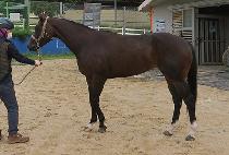 ��庣��ũ (GOLDBERG) ����