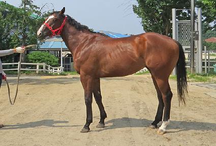 �۷ι��ڵ� ����