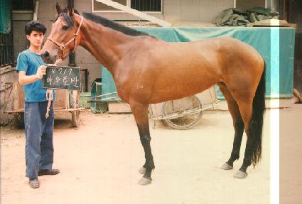 �ƿ���� ����