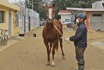 �̷����� (MIRAE YOJEONG) ����