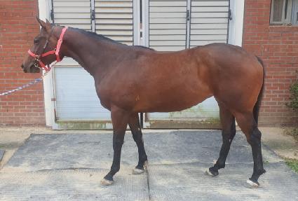 �ѳ��� ����