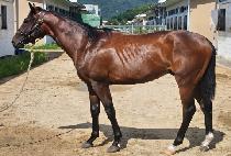 ���ڽ���� (STEALTH MODE) ����