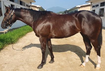 �ƿ�����Ʈ�� ����