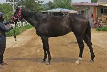 �����Ŀ� (SEONGSIL POWER) ����