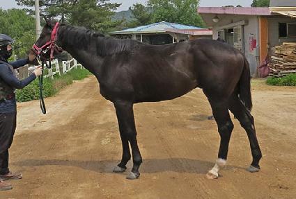 �����Ŀ� ����