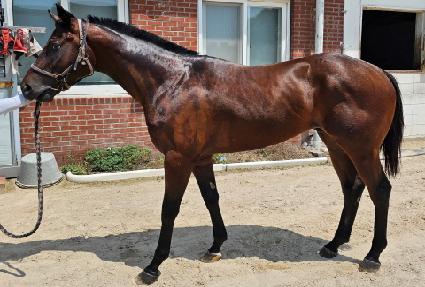 �׷���Ʈ�� ����