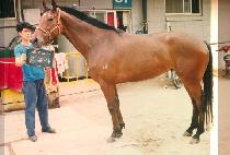 ����� (YOUL GOK SA) ����