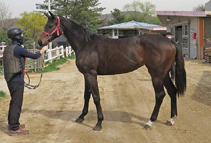 ������ ����