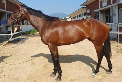 �縷�ǲ� ����