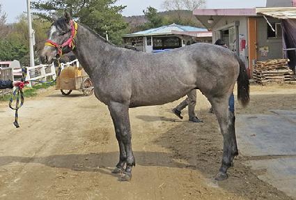 ��Ű�巡�� ����