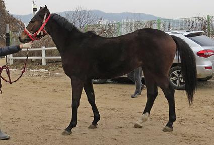 ���������� ����