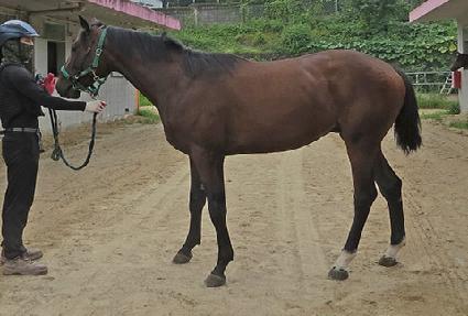 �������ǵ� ����