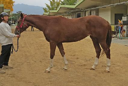 ��Ʈ��� ����