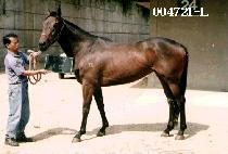 ��ž (OK TAB) ����