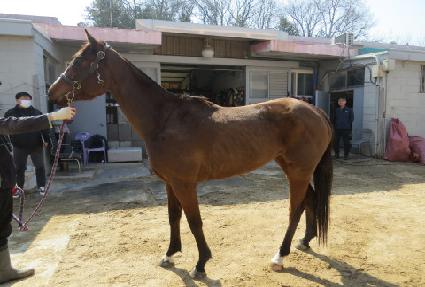 �׷������ ����