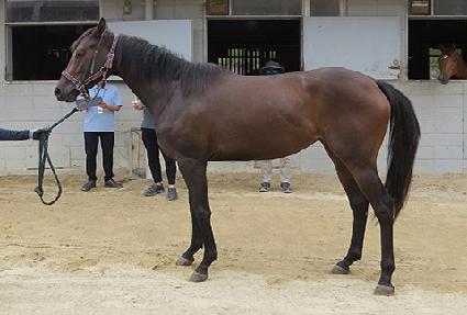 �ƾ��屺 ����